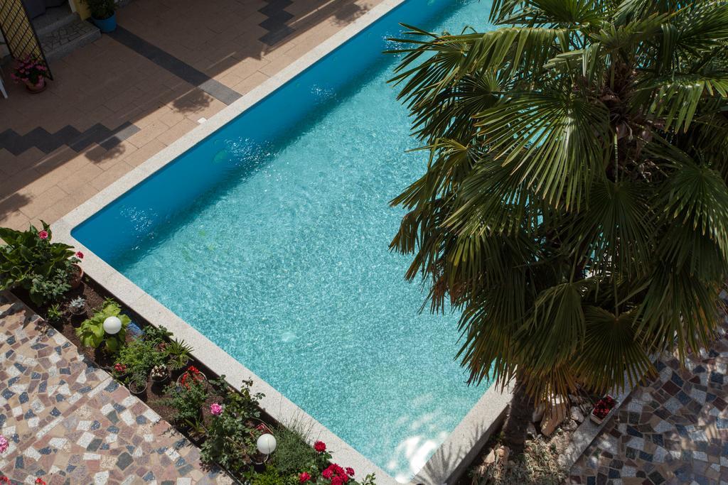 Paradis *